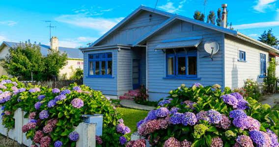 Flowers blooming in front of home.