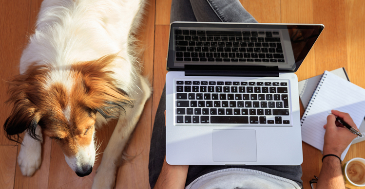 Person working on their laptop on the floor whilst their dog is lying next to them.